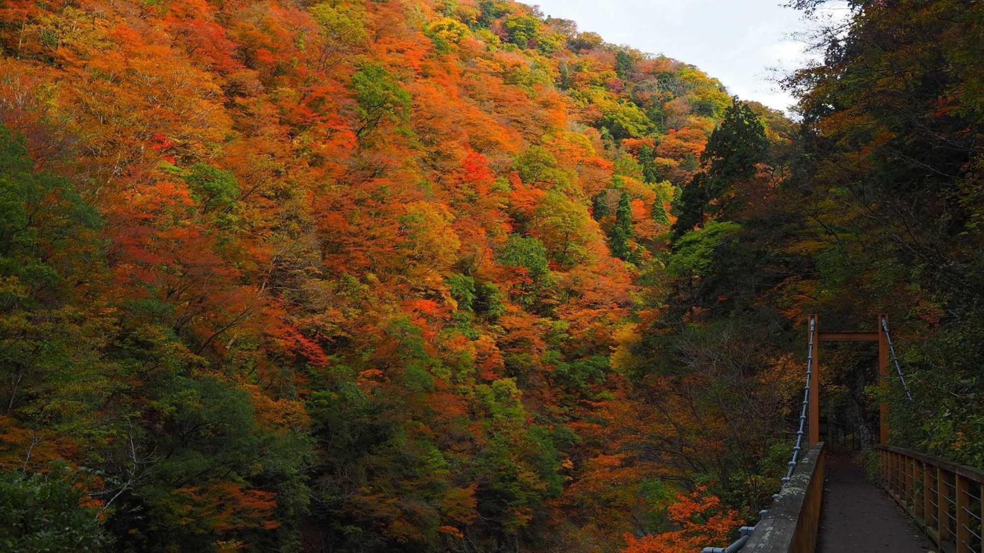 Отель Kashintei Shirahama Semboku Экстерьер фото