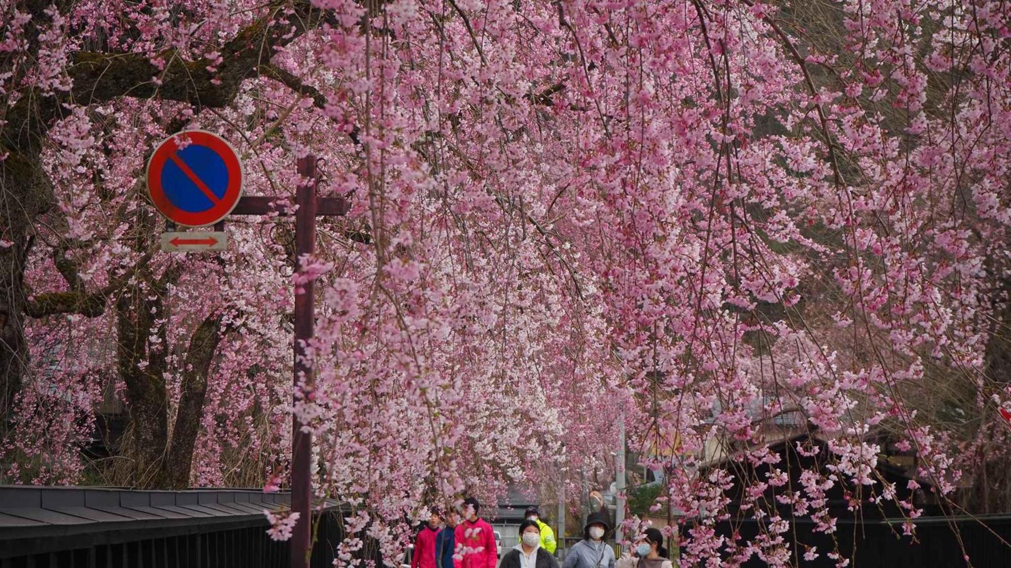 Отель Kashintei Shirahama Semboku Экстерьер фото
