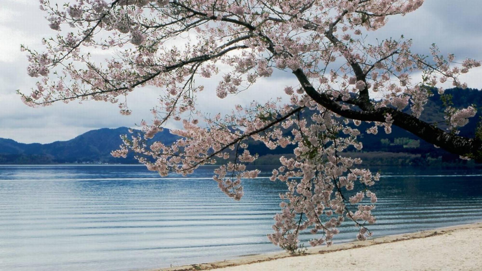 Отель Kashintei Shirahama Semboku Экстерьер фото